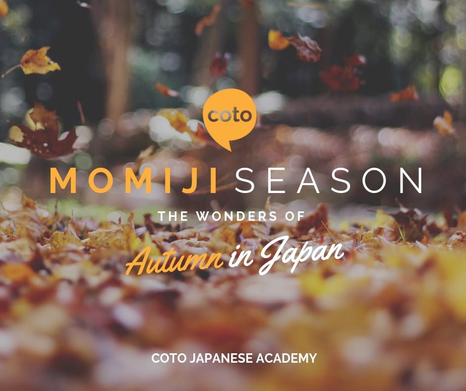 Japanese Autumn The Wonders Of The 紅葉 Momiji Season In Japan