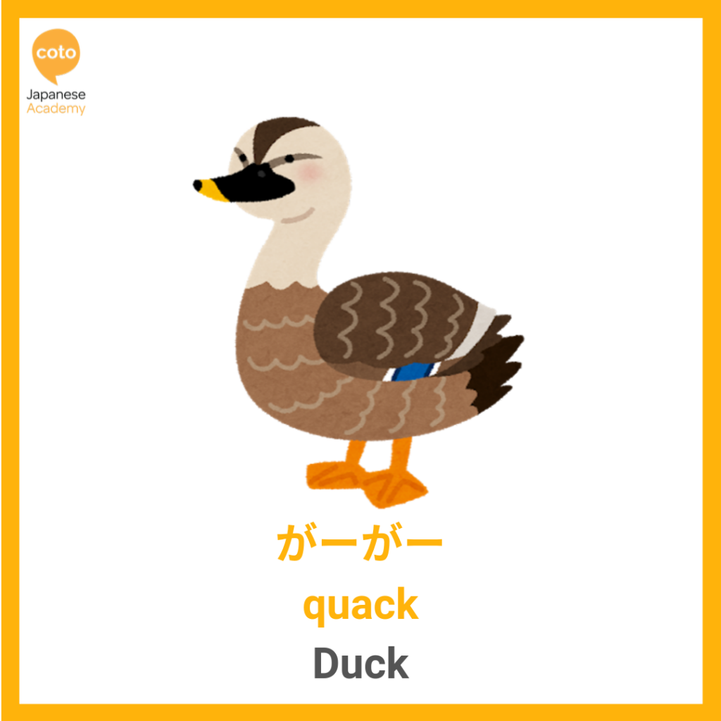 Common Animal Onomatopoeia used by the Japanese, duck, quack, image, photo, picture, illustration