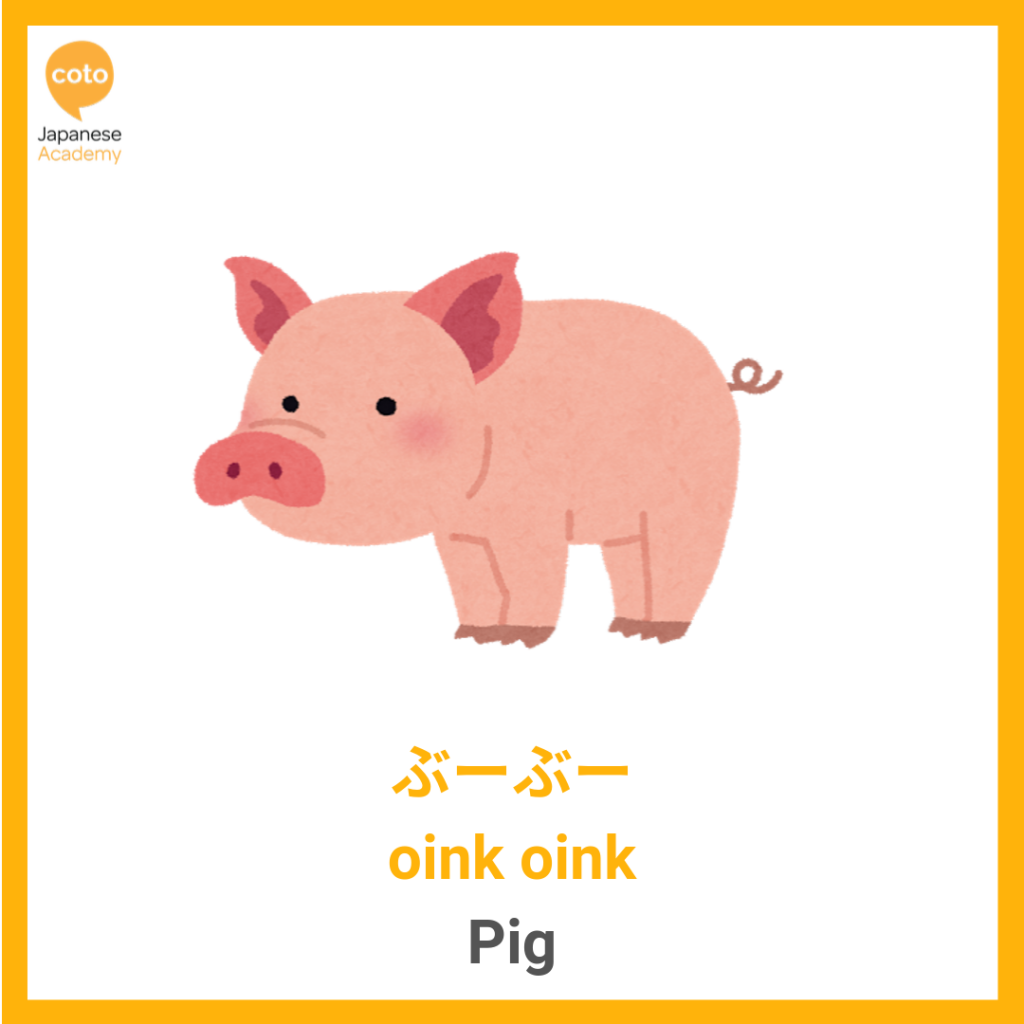 Common Animal Onomatopoeia used by the Japanese, pig, oink, image, photo, picture, illustration