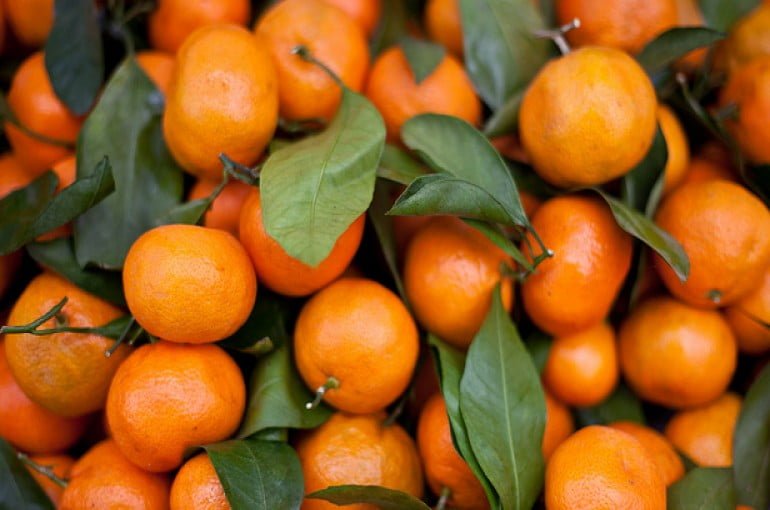 What's The Difference Between Oranges, Mandarins, Satsumas, Clementines,  Tangerines? S And J Mandarin Grove Organic Mandarin Oranges In Newcastle, CA