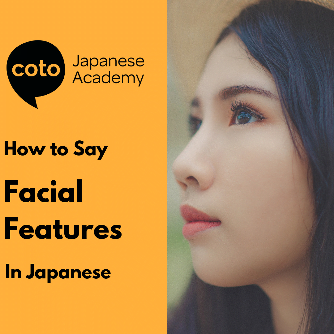 Facial Features In Japanese How To Say Nose Mouth Eyes In Japanese Illustrated Guide Coto Japanese Academy
