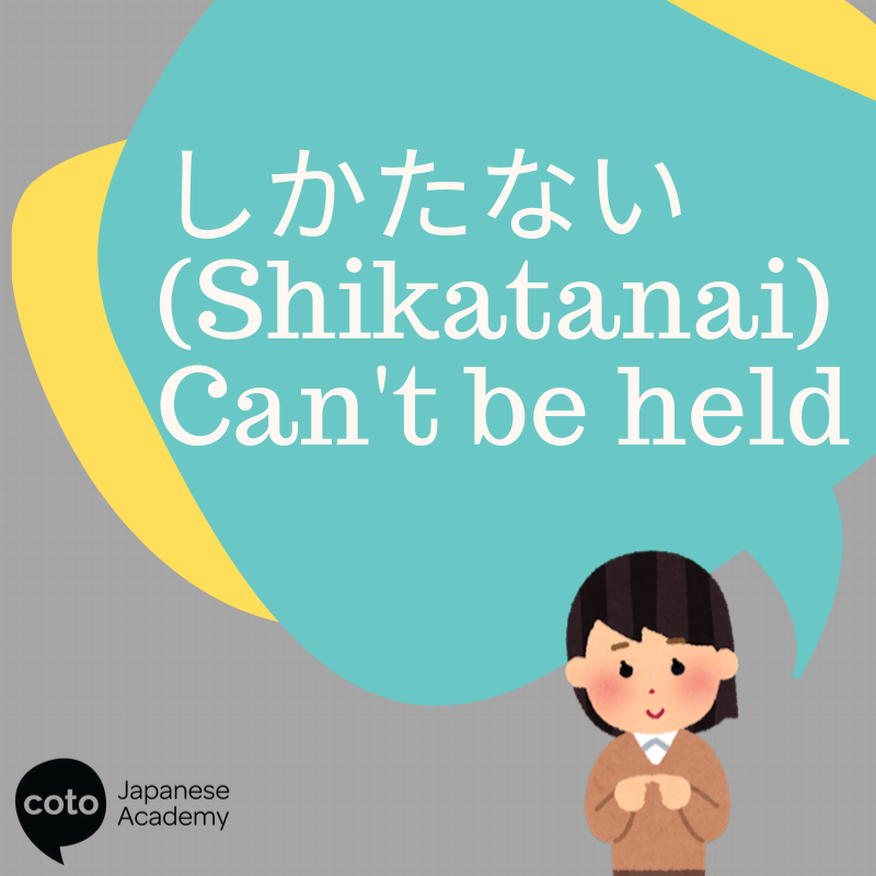 How to Become a Japanese Translator, Translate HD wallpaper | Pxfuel