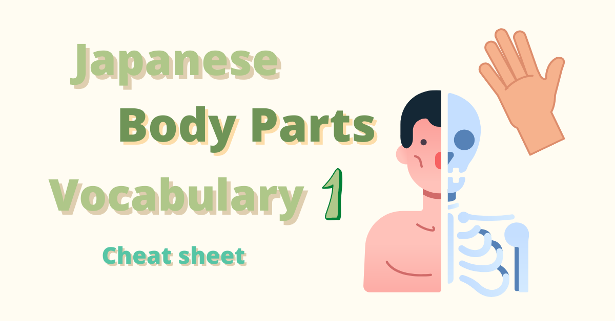 All Body Parts Name In Japanese