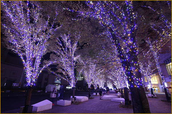 Yokohama Milaight Winter Illumination
