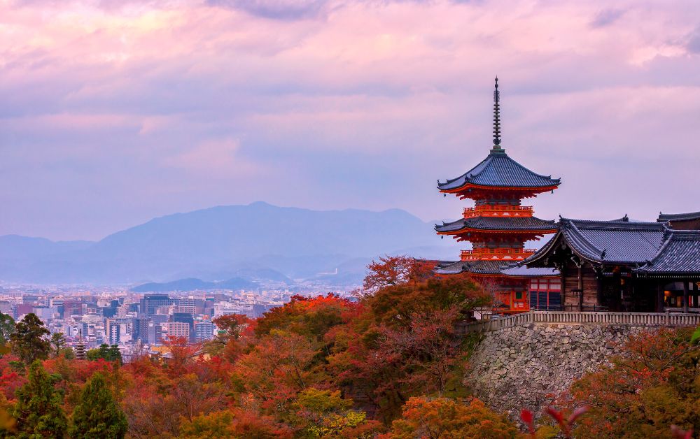 how to enjoy fall foliage in kyoto