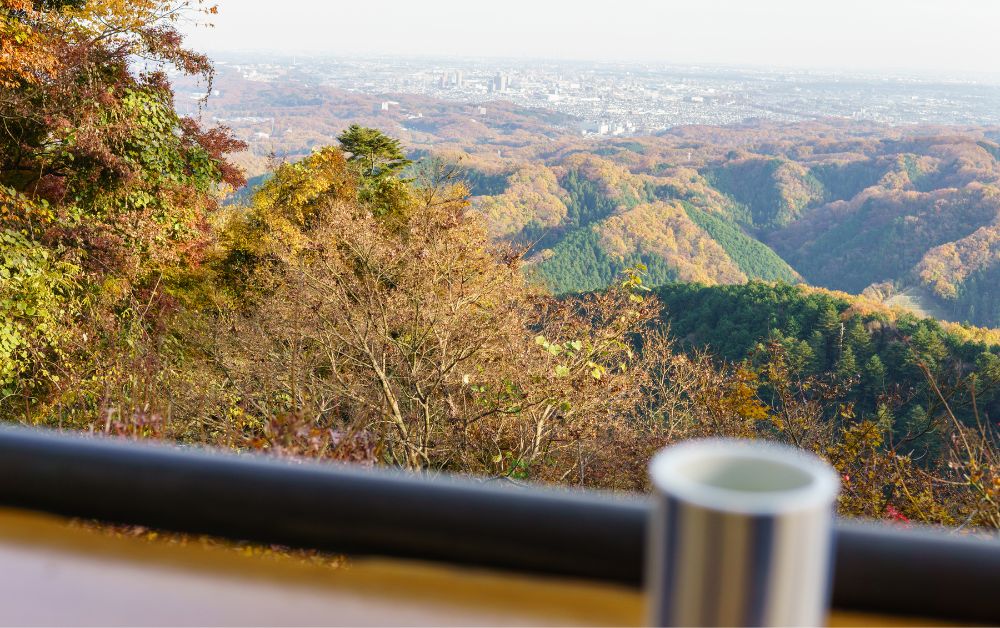 mount takao during the fall for momijigari