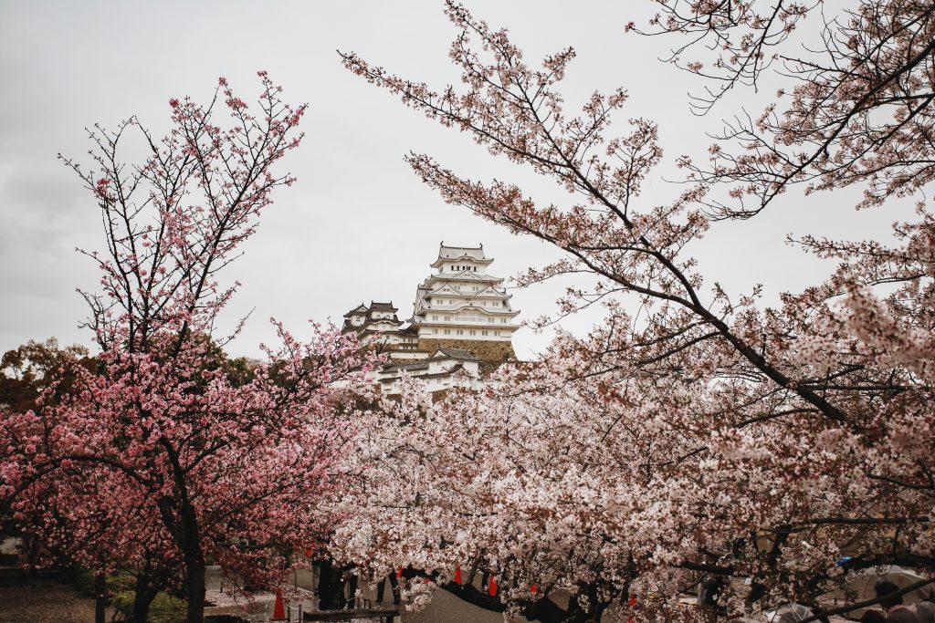 Japan in Spring, Visit japan in Spring time