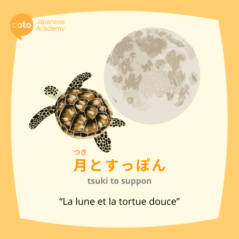 Illustration du proverbe japonais « 月とすっぽん (tsuki to suppon) », représentant une tortue douce et la lune côte à côte — utilisé pour souligner une comparaison entre deux choses qui paraissent similaires en surface mais sont fondamentalement différentes.