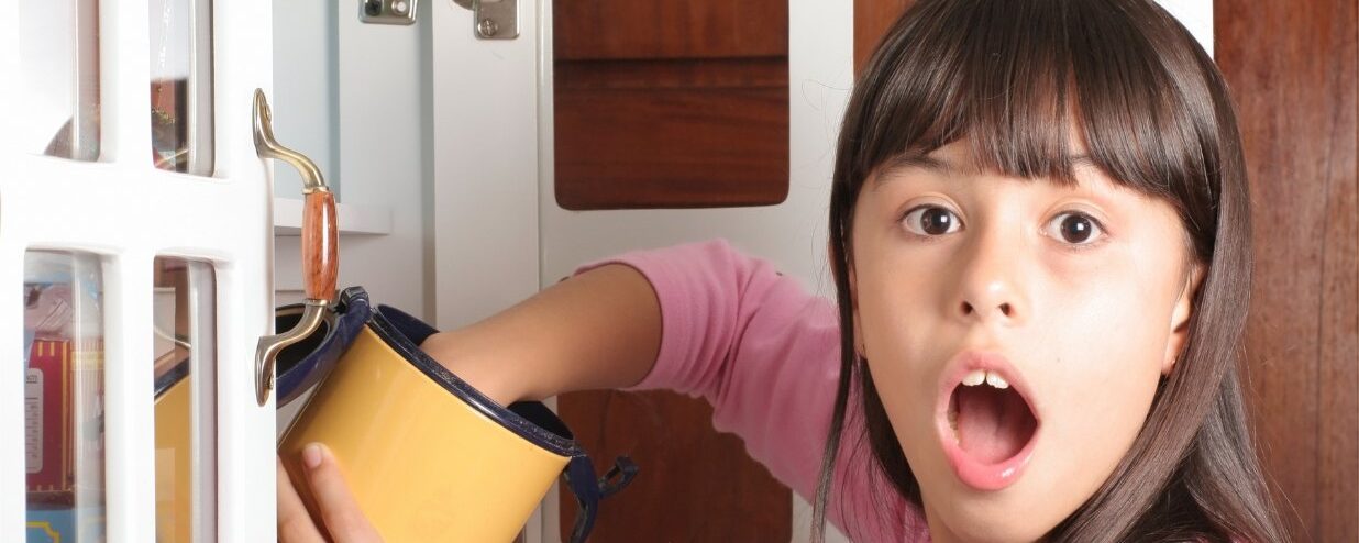 Nu – Learn by Stealing