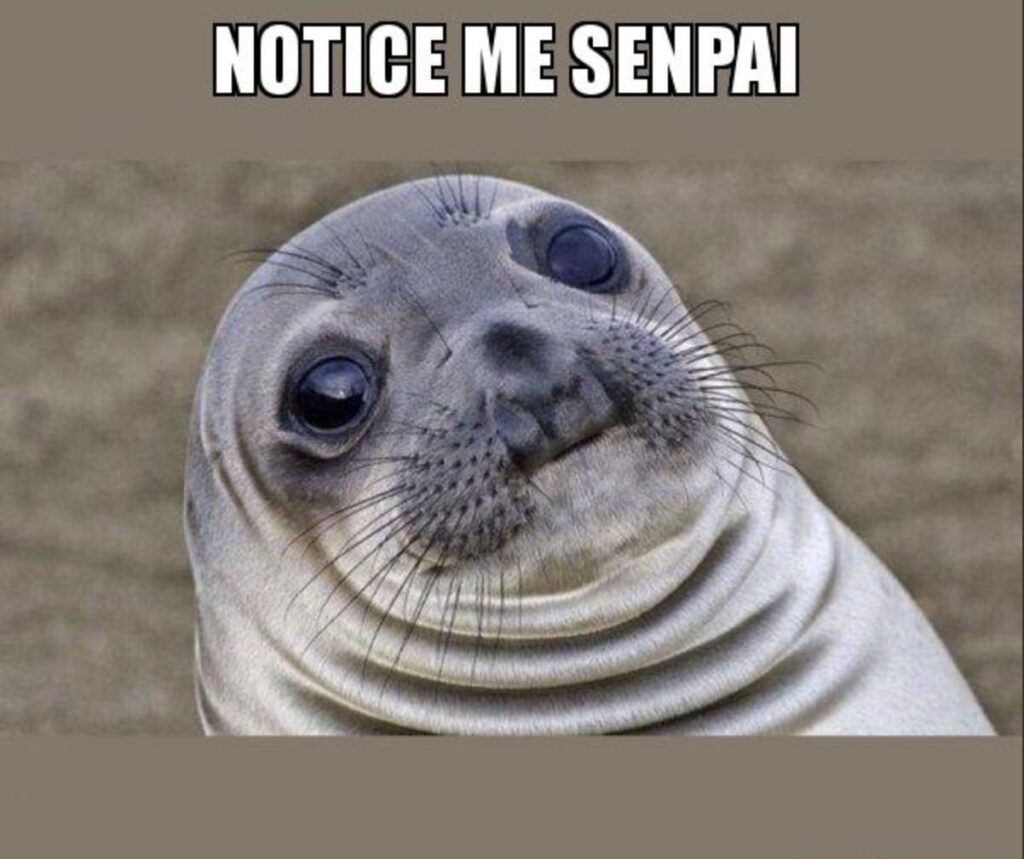 A picture of a seal's face with the subtitles, "Notice Me Senpai"