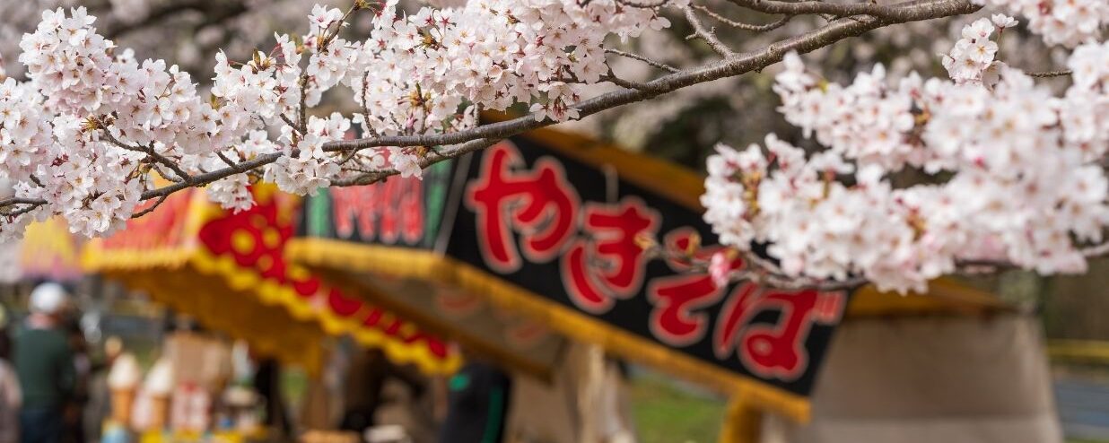 Coto’s Spring 春 photo contest entries!