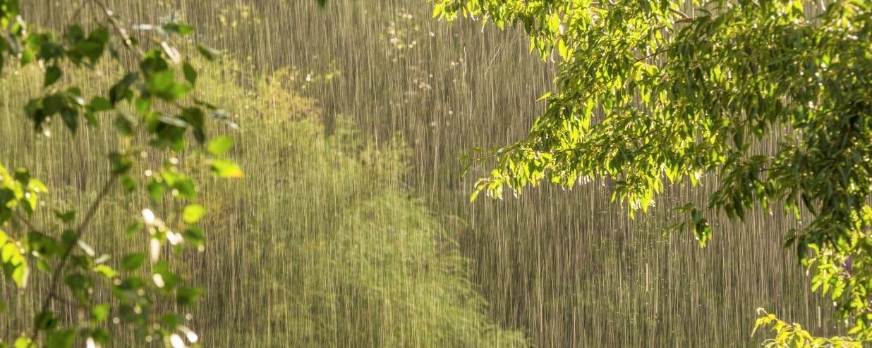 How to Survive Rainy Season in Japan: Tsuyu