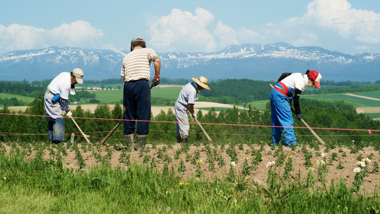labor thanksgiving day in japan