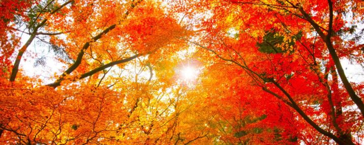 autumnal equinox day