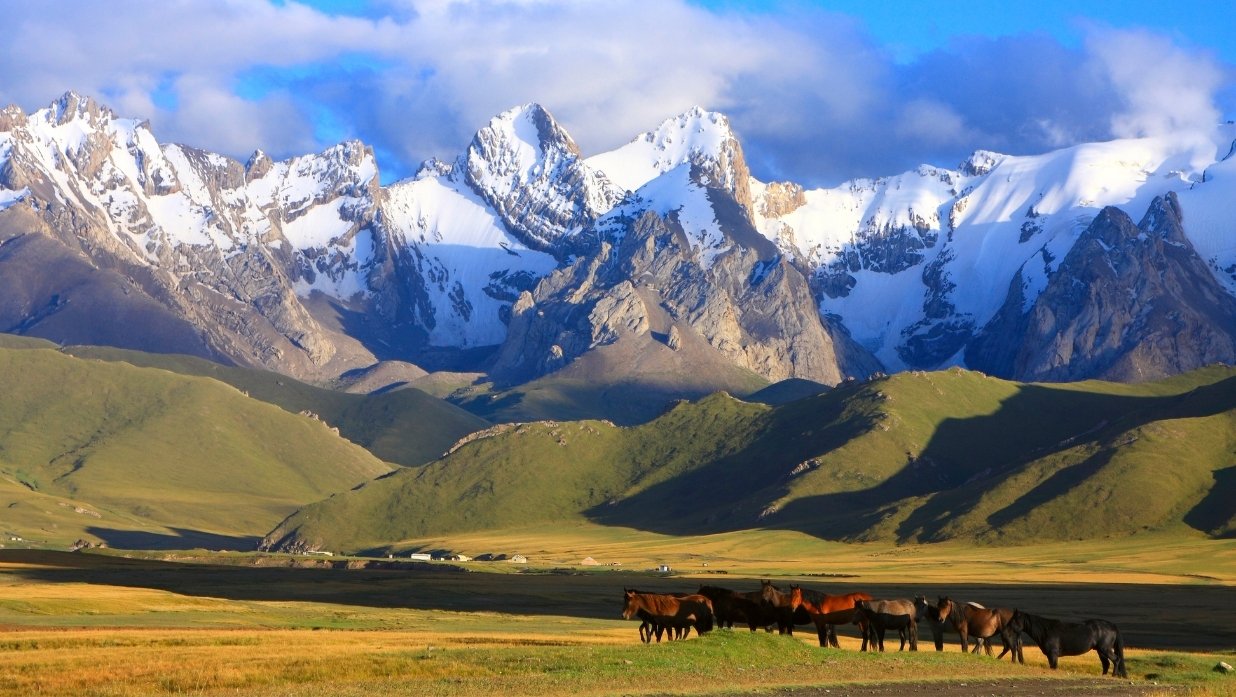 Mountain view with horses nearby.