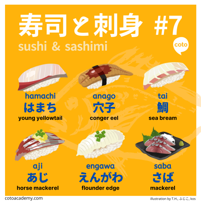 types of sushi in japanese