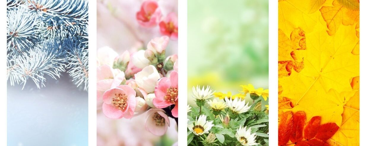 How to say Winter,Summer,Spring and Autumn in Japanese – 春夏秋冬 – 4 seasons