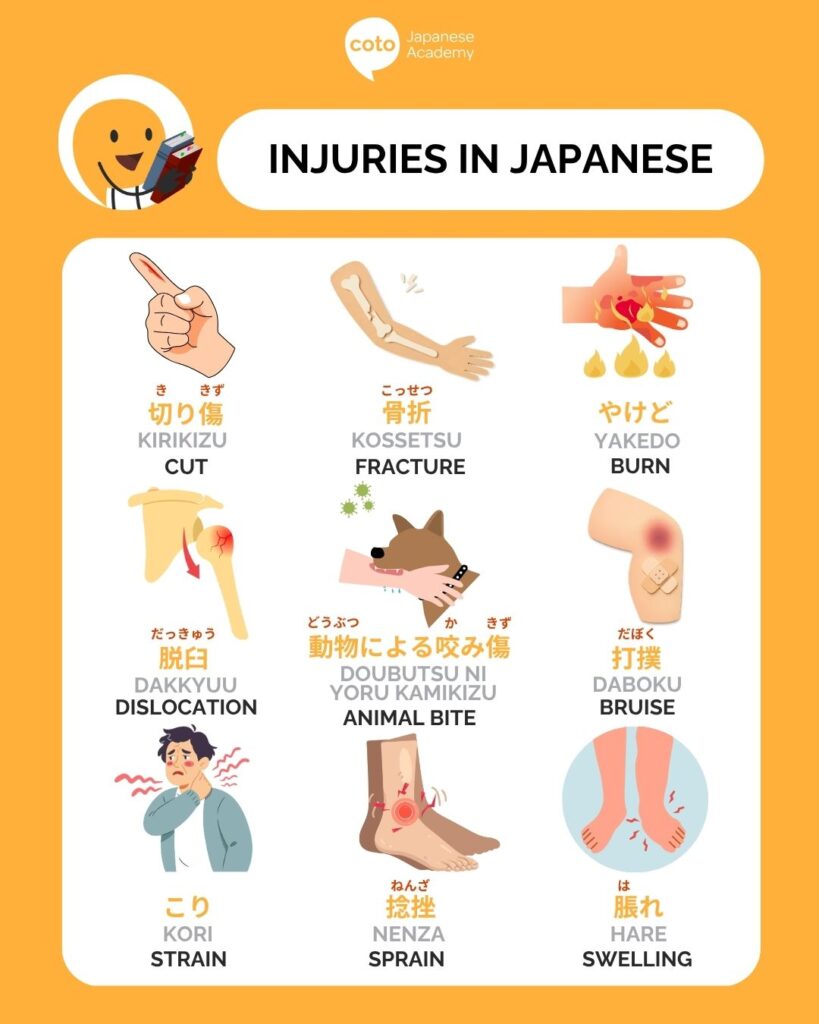 Infographic showing different terms for injuries in Japanese