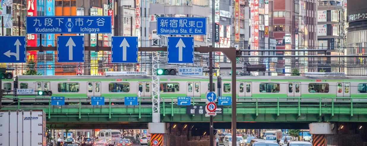 24-hour Guide: 21 Fun Things to Do in Shinjuku