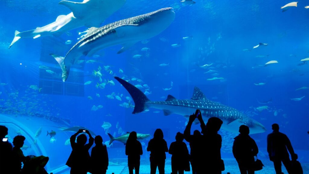 aquariums in japan
