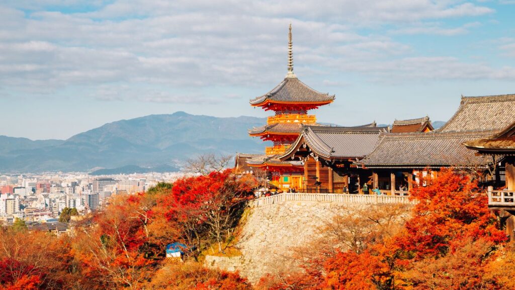 momiji in tokyo