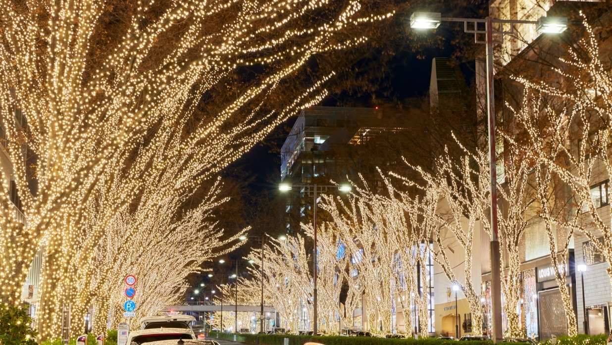 Winter Illuminations in Tokyo