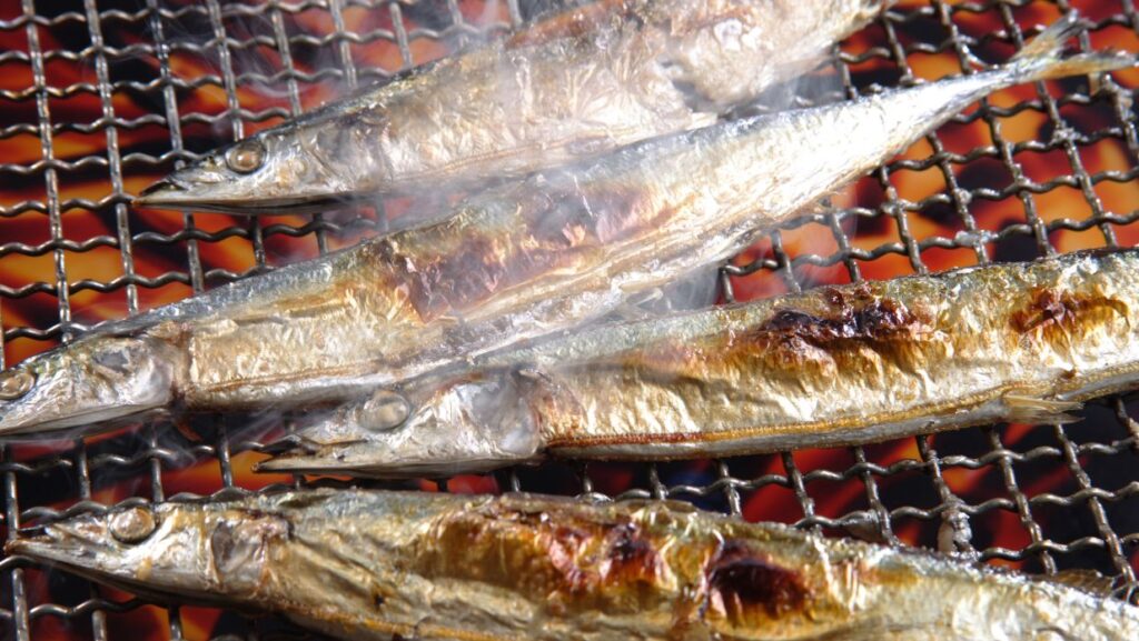 pacific saury is a popular japan fall food