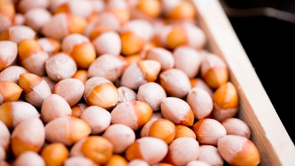 ginkgo nuts