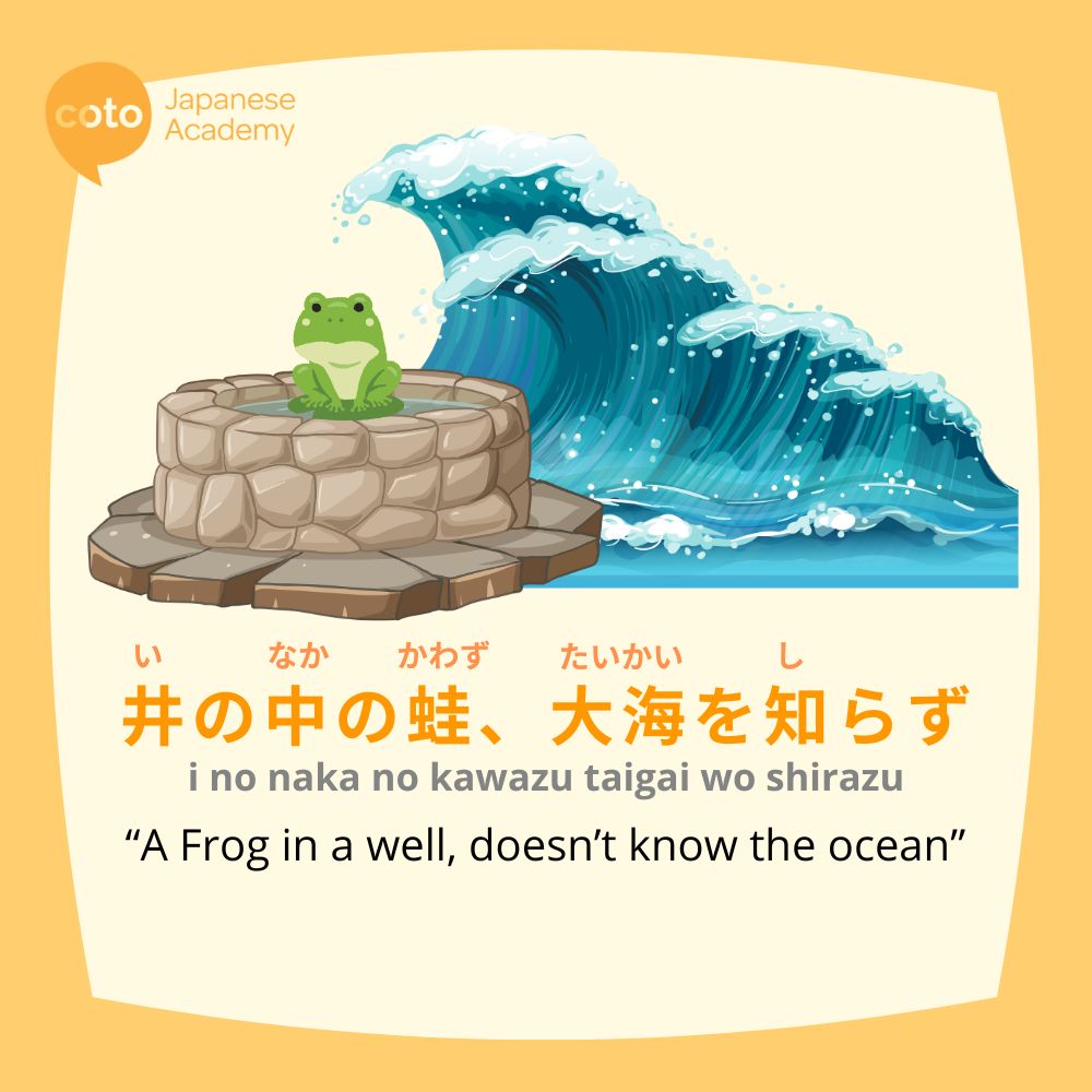 The Japanese proverb: I no naka no kawazu, taikai wo shirazu 井の中の蛙大海を知らず or "a frog in a well, doesn't know the ocean"