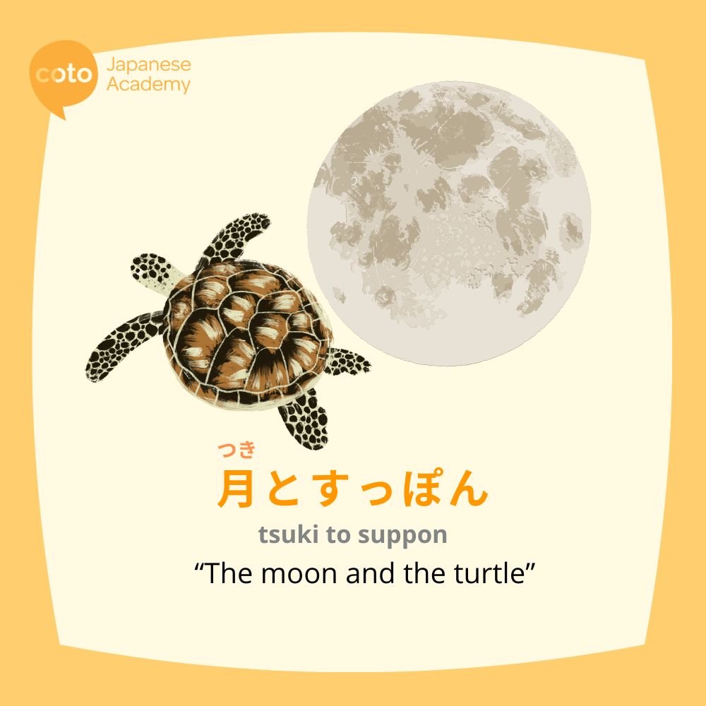 The proverb 月とすっぽん tsuki to suppon translates literally to "the moon and the turtle". But its actual meaning is that 2 things can be incomparable despite their similarities. 