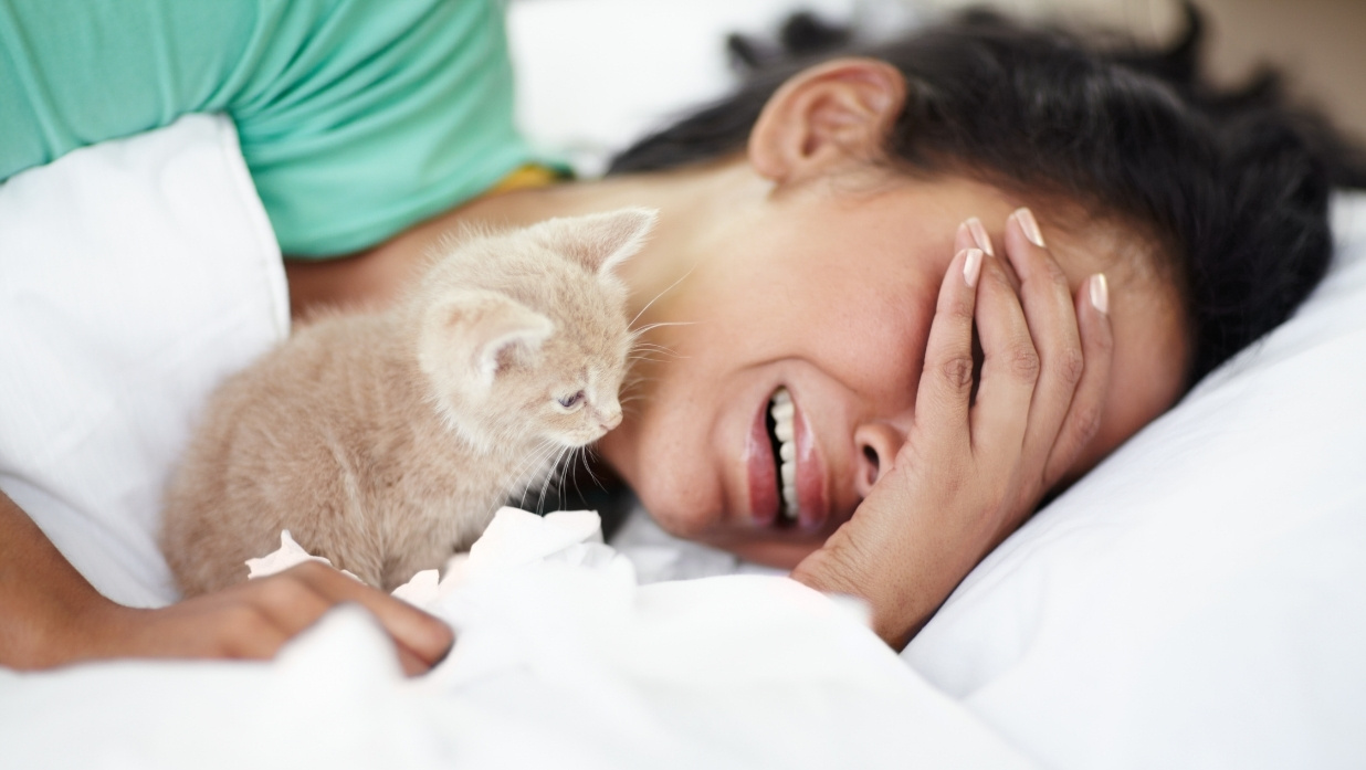 Cat and crying woman