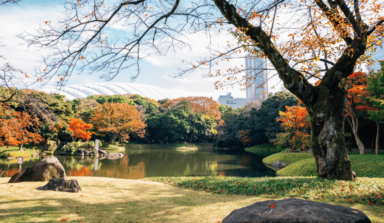 Iidabashi - Koishikawa Korakuen Garden