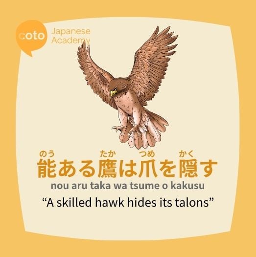 skilled hawk