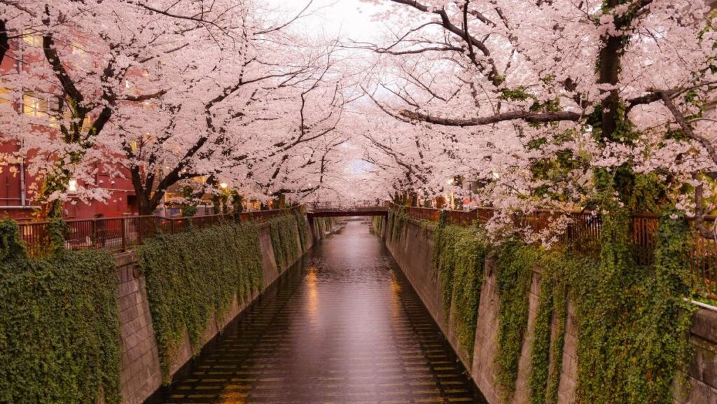 nakameguro
