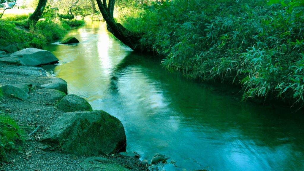 famous haiku about a frog leaping out from a pond