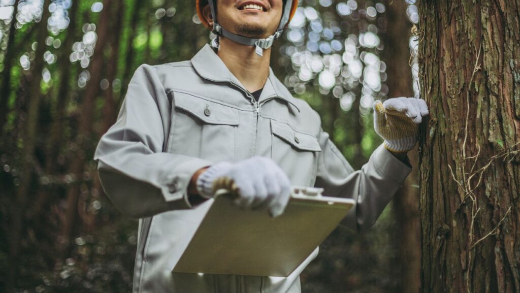 Japan’s government new foreign trainee program