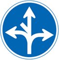 5. Permitted Marked Directions