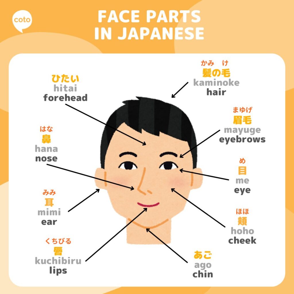 kanji related to body parts