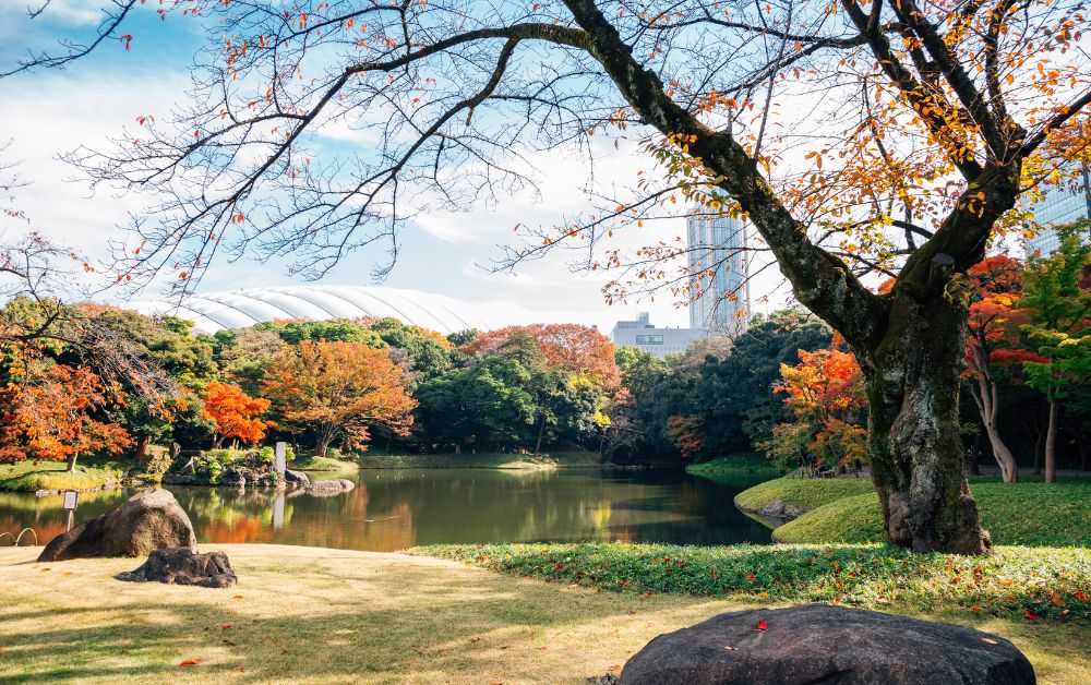 Koichikawa Korakoen, a popular park to visti during the fall season in Tokyo