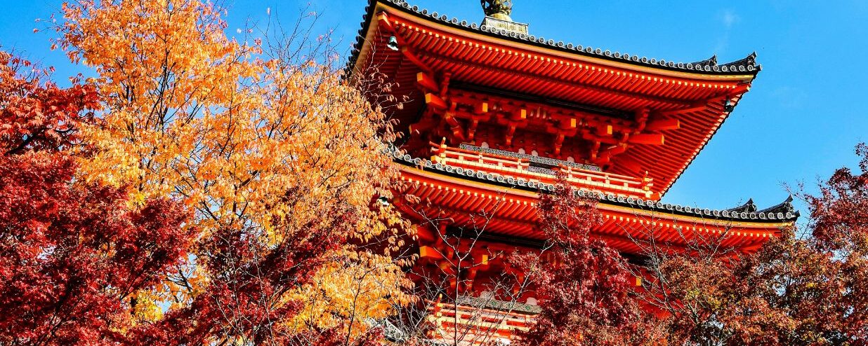 Japan’s 2025 Autumn Foliage Forecast Guide