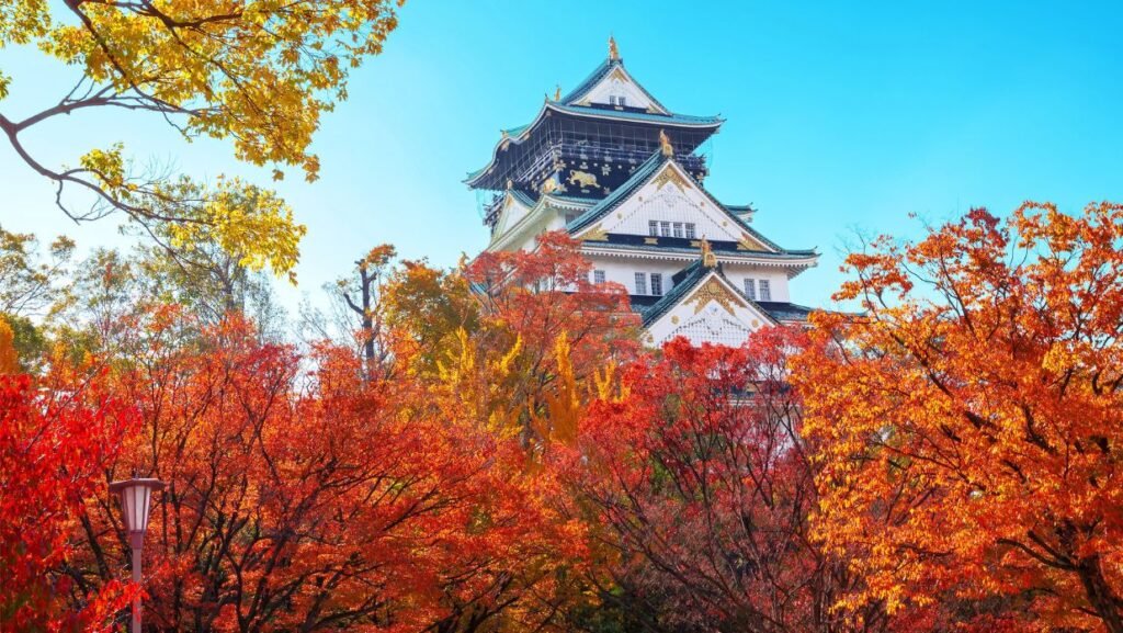 autumn forecast japan 2025