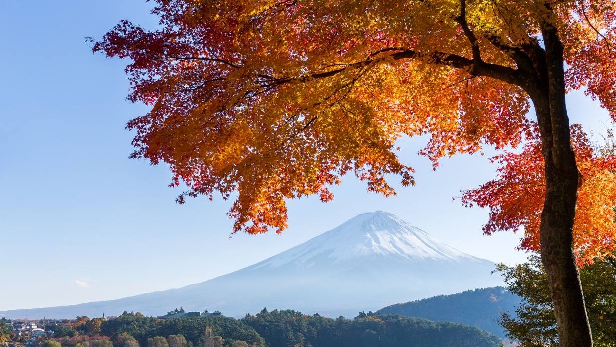Tokyo Fall Guide Feature image