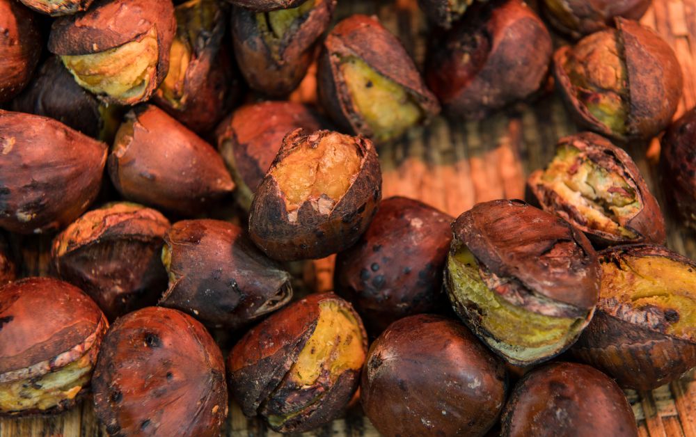 Chestnuts are often added in desserts and pastries in cafes across Tokyo during fall