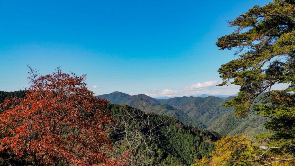 mt takao
