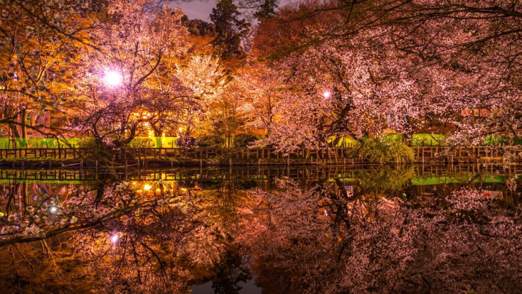 inokashira park