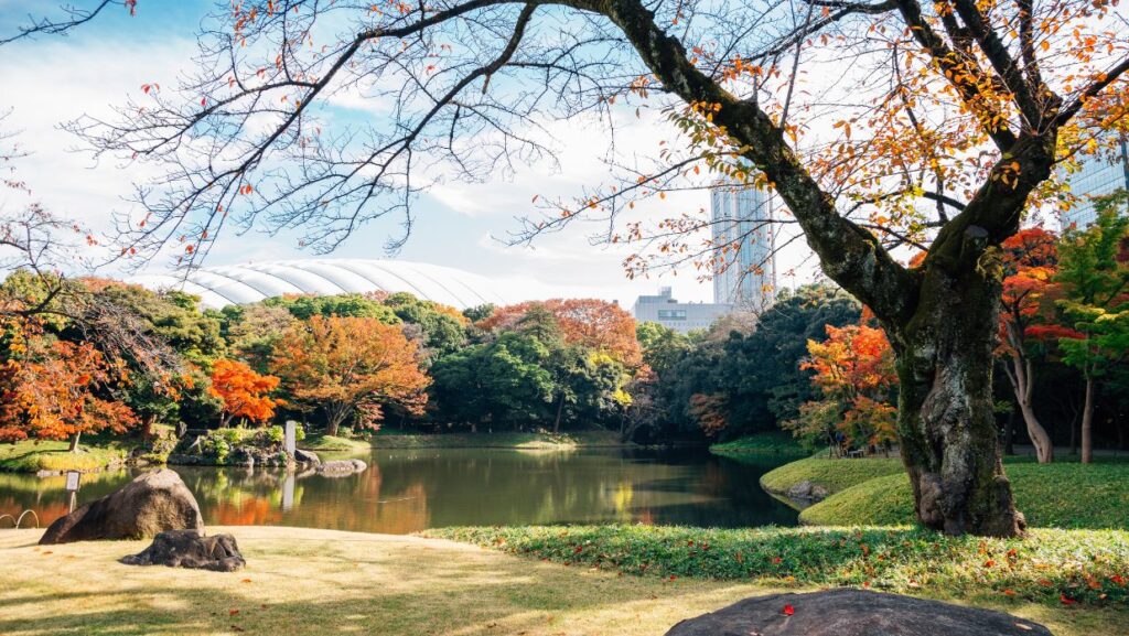 3. Koishikawa Korakuen Garden