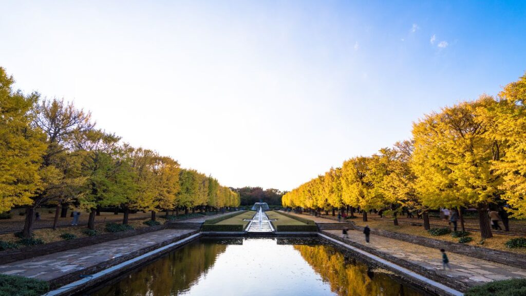 showa kinen park