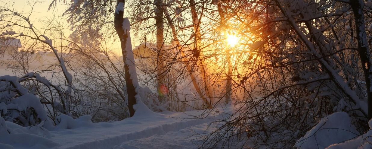 2025 Winter Solstice in Japan (Toji): Schedule, Activity & Festival