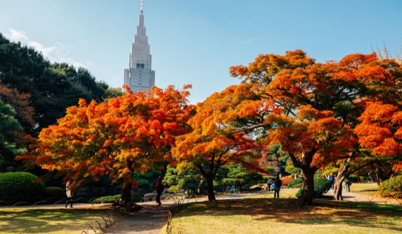 shinjuku gyoen national garden