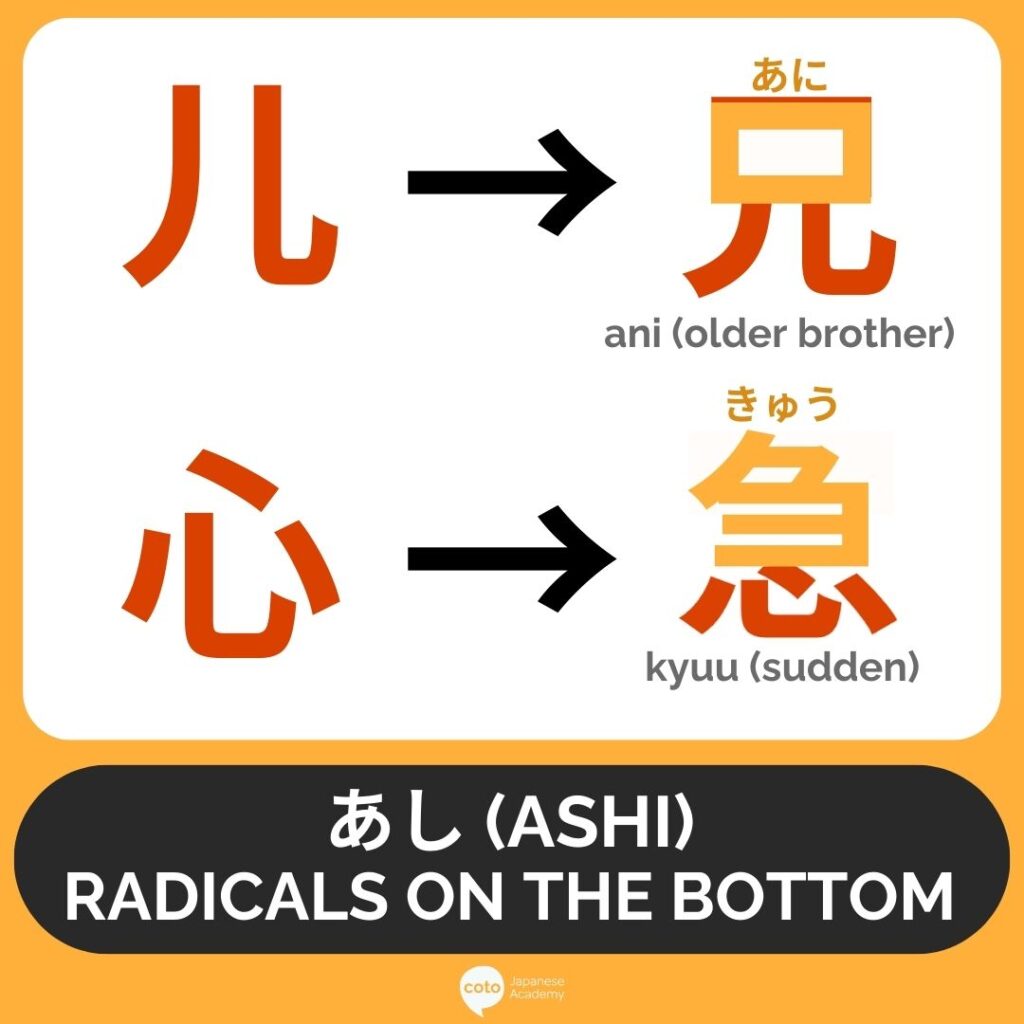 あし (ashi) are radicals positioned at the bottom.